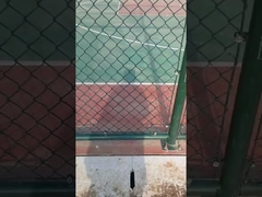 VC покрытый цепной сцепление ограждения / оцинкованной стали алмазной сетки ограждений / циклона ограждений проволочной сетки / Tenni