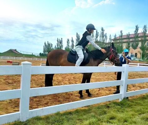 ПВХ ферма ограждение 3 рельсы Лошадиный падок ранчо Простая установка