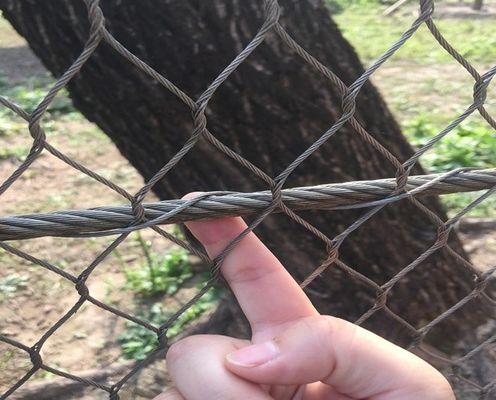 Черная окислительная сетка из нержавеющей стали 50x50 мм