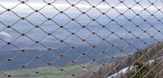 Сетка из троса из нержавеющей стали для архитектурных алмазных гибких экранов, безопасное ограждение для животных в зоопарке