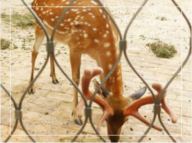 Гибкая сетка из нержавеющей стали ручного плетения с настраиваемыми граничными размерами для балюстрад и вольеров зоопарков