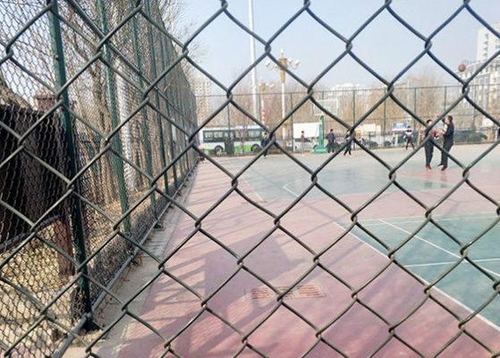 ПВХ покрытый цепной узел ограждение 10 га гальванизированной стальной защитной сетки