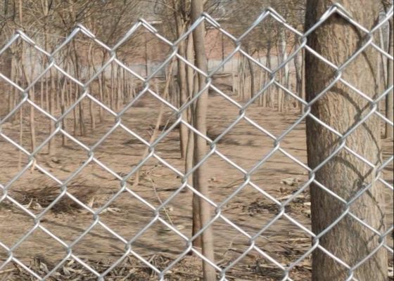 6 Ft x 50 отверстие диаманта загородки звена цепи Ft 4.8mm гальванизированное